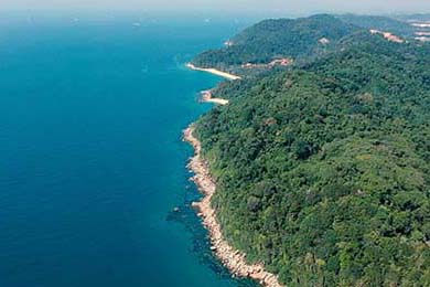 卡迪夫城引进黑马球员，冲击英冠头名，卡迪夫城主场球场