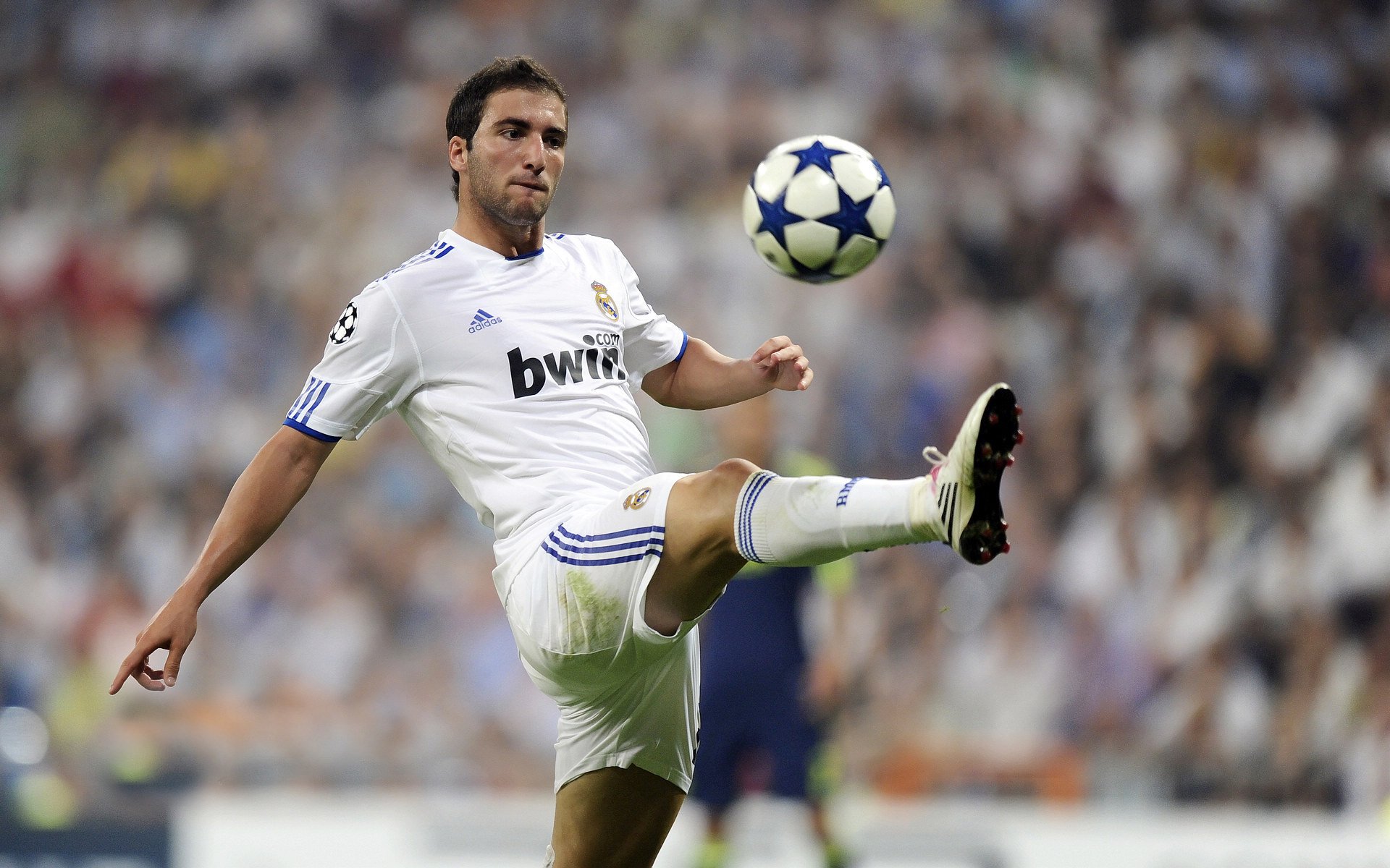 _良辰美景：高尔夫球场上的夏日盛会_，高尔夫球场风景